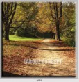 /album/photo-gallery-canvas-uri/decoratiuni-de-perete-canvas-lc-0656-jpg/